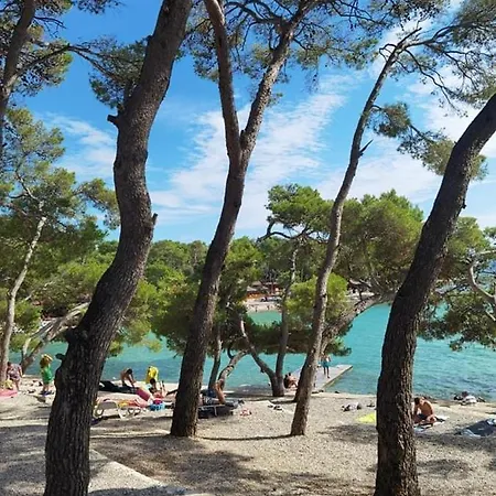 Mobile Homes Malu Camping 4*